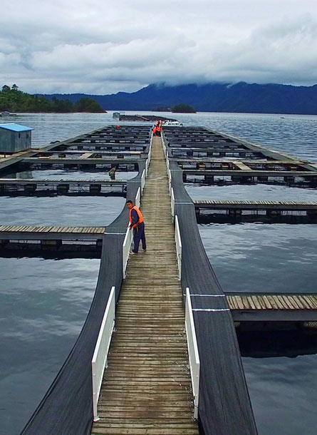 Aquaculture Program