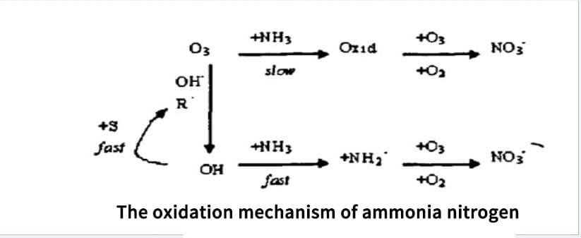 ammonia-nitrogen Ozone for aquaculture water