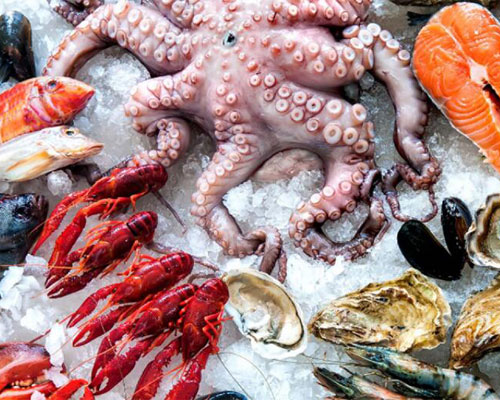 Ozone Applications in Seafood Processing
