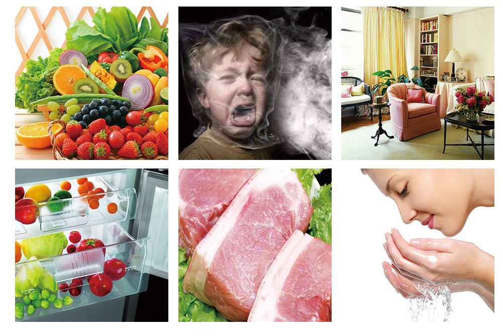Fruit-and-vegetable-detoxification-machine-1 Fruit-and-vegetable-detoxification-machine-1